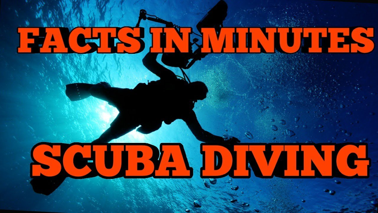 FACTS IN MINUTES (FIM.5), SCUBA DIVING YouTube