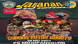 Live Jaranan Malam Ini-CONDRO PUTRO BUDOYO-  Di PABRIK GULA MOJOPANGGUNG TULUNGAGUNG