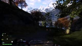 Far Cry Random Action