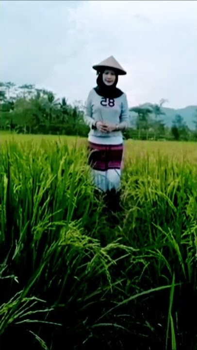 tren Healing di sawah story #shorts