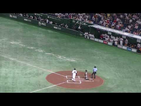 岡本和真ライトフライ 佐藤輝明の守備 〜巨人 対 阪神2022/8/19