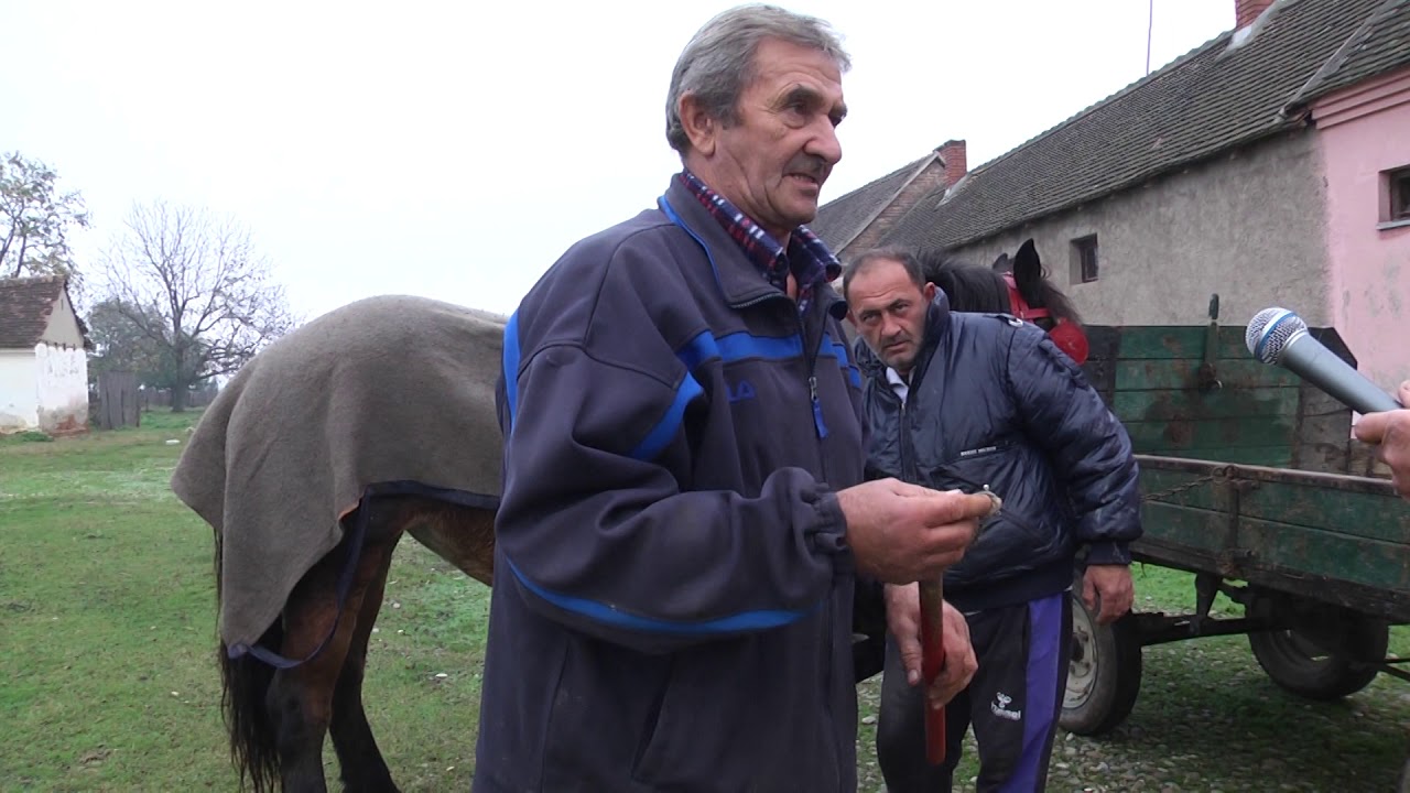STARI ZANATI Zoran Vasic,potkivac konja