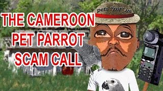 Prank Calling A Pet Parrot Scammer From Cameroon - The Hoax Hotel