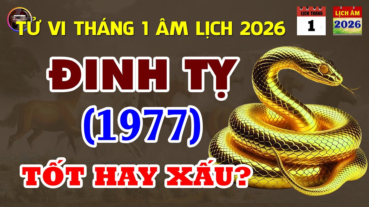 Tử Vi Tuổi Đinh Tỵ 1977: Trong Tháng Giêng Âm Lịch Năm 2026 Sẽ Như Thế Nào?