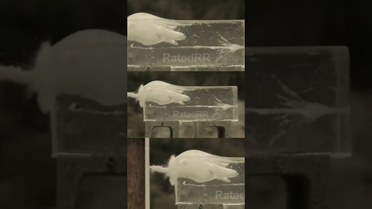 RIP Ammunition High Speed Slow Motion Tests g2 ballistic