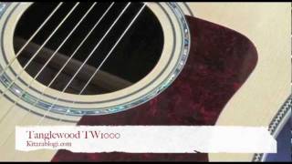 Review: Tanglewood TW28-CLN + TW1000HSRE + Seymour Duncan Woody –   – Finland's premier Guitar and Bass blog