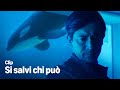 Nino Scotellaro fa esplodere Wowterworld | Prime Video