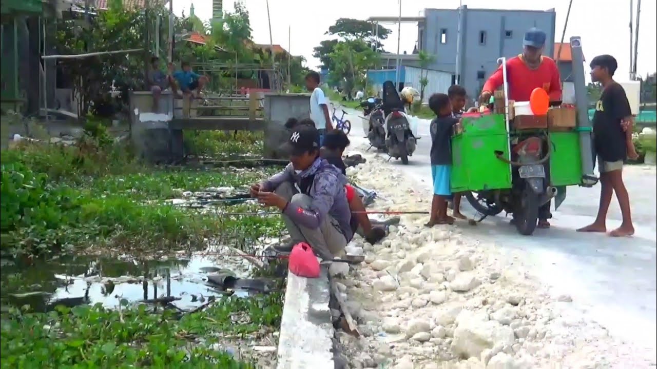 Warga sibuk kerja!! Selokan ini jadi penuh ikan liar, Ini rezeki nomplok mancing kesini
