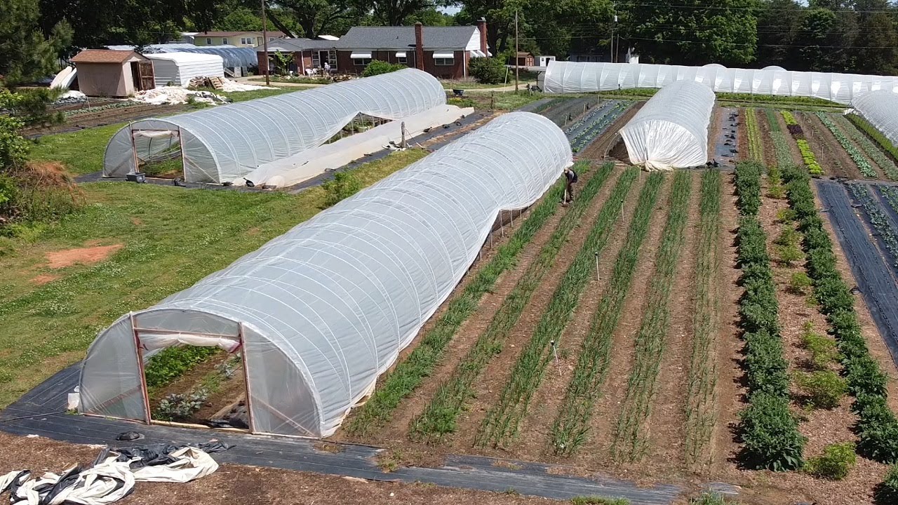 A Clickbait Titled Small Scale Farming Video - YouTube