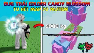 I'm back in my favorite game, Grow A Garden, Elder Fruit Bug, Candy Blossom, 70 Giant Moments, an... screenshot 3