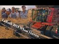 LaRosh 2018 Wheat Harvest (4K)