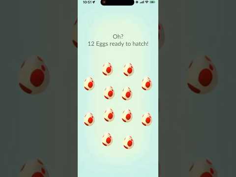 I Hatched 12x 12k Eggs In Pokemon and THIS IS WHAT I GOT… #shorts #pokemon