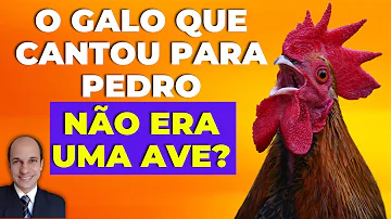 O que significa o canto do galo?