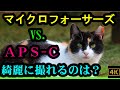 マイクロフォーサーズ vs. APS-C どちらが綺麗に撮れる？