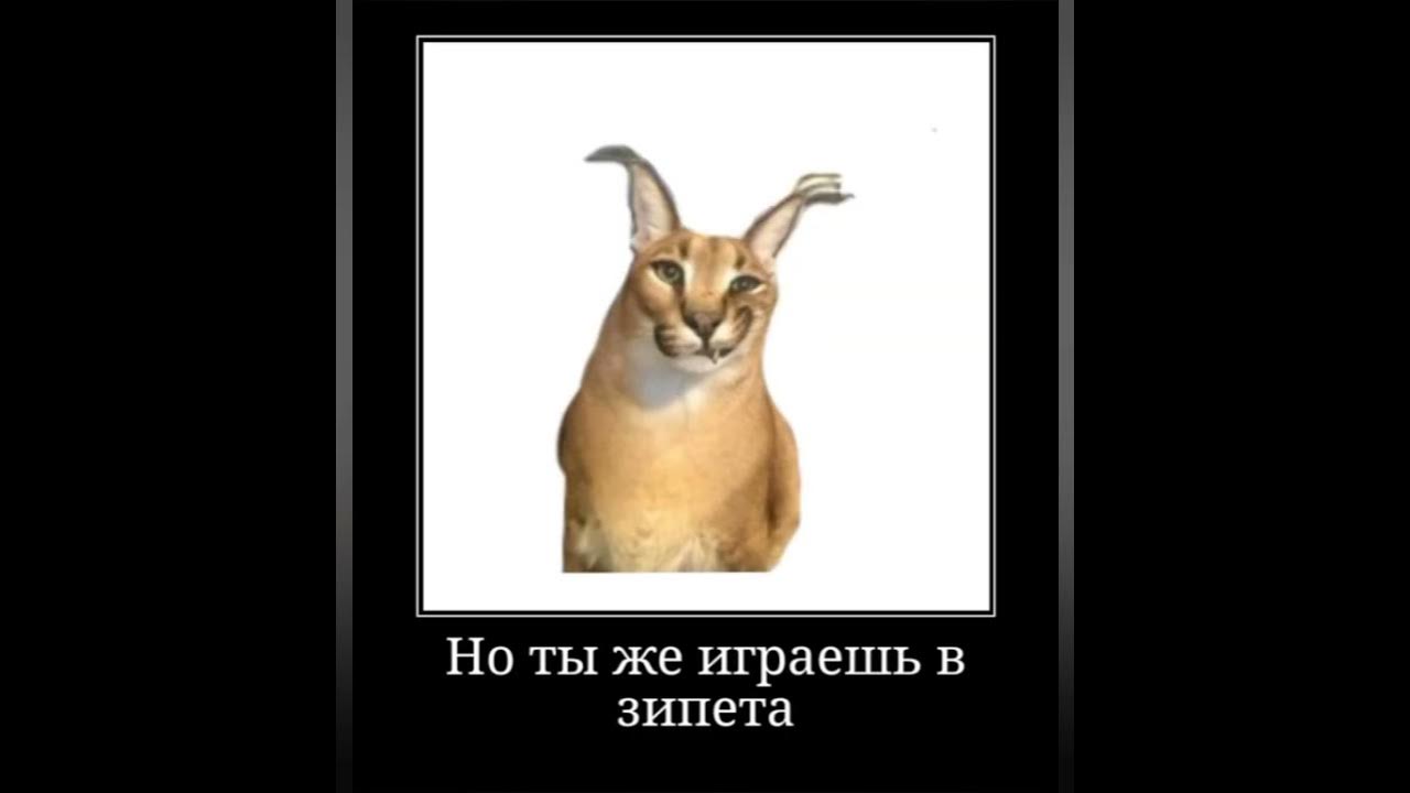 шлепа мем #пупсик - YouTube