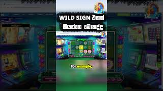 WILD SIGN එකක් කියන්නෙ මොකද්ද? 🐺🌳 #emoneysinhala #onlinebusiness #emoney2023 #gameguide
