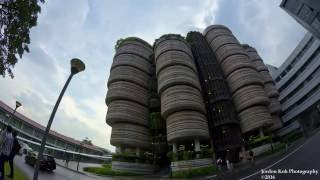 Clouds and Such - An NTU Walkabout