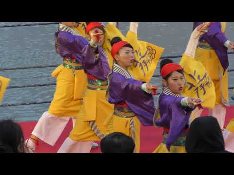 葵さん　第21回よさこい東海道　狩野川演舞場