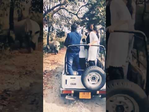 এমন মরণ মাওলা তুমি কাউকে দিয়োনা 😱😱।denjares animal attac for car.