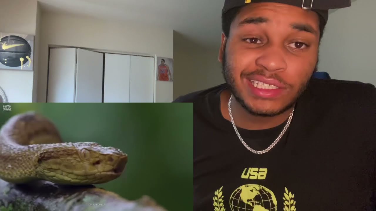 How To Survive Snake Island 😱😖 REACTION