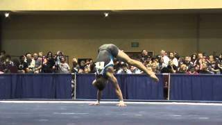 Grant Breckenridge – Floor – 2015 Winter Cup Finals