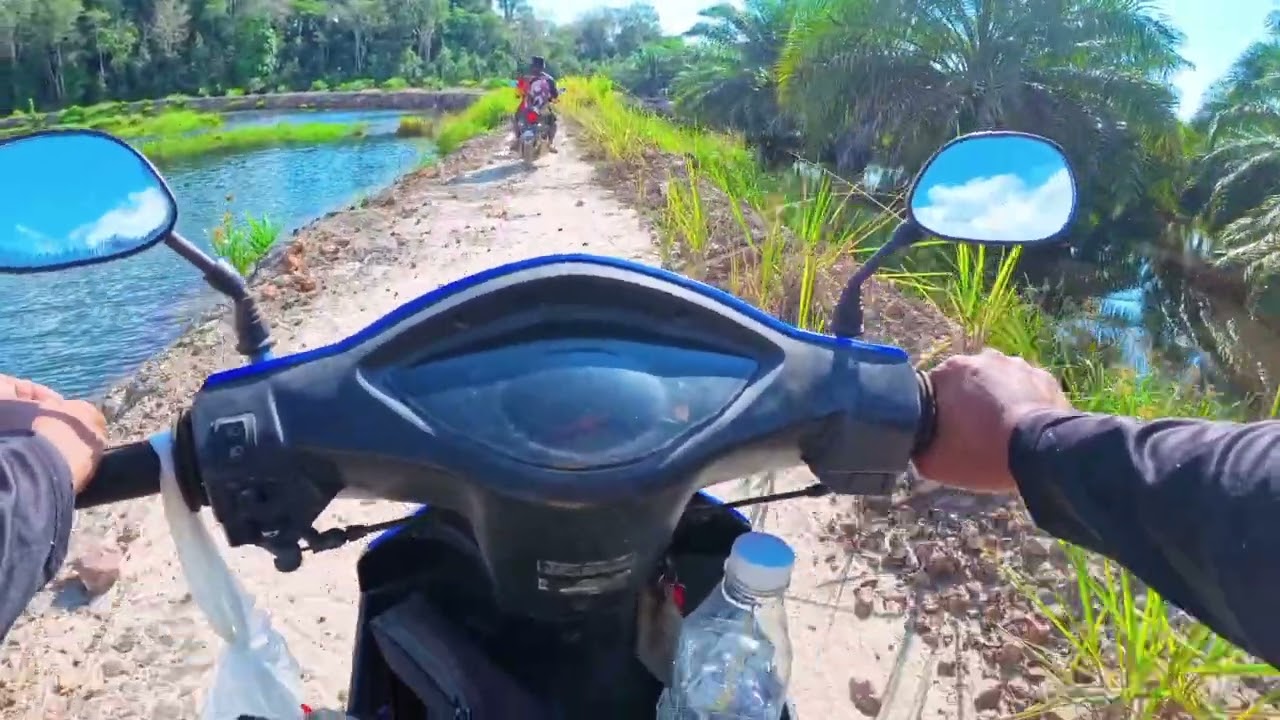 Casting Haruan Sawit Banjir // Spot 📍 Mantap