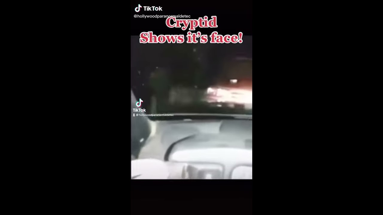 REAL DOG MAN WEREWOLF SIGHTING See Ending 