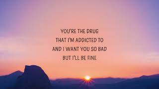 Alan Walker - All Falls Down (Lyrics) (feat. Noah Cyrus with Digital Farm Animals)