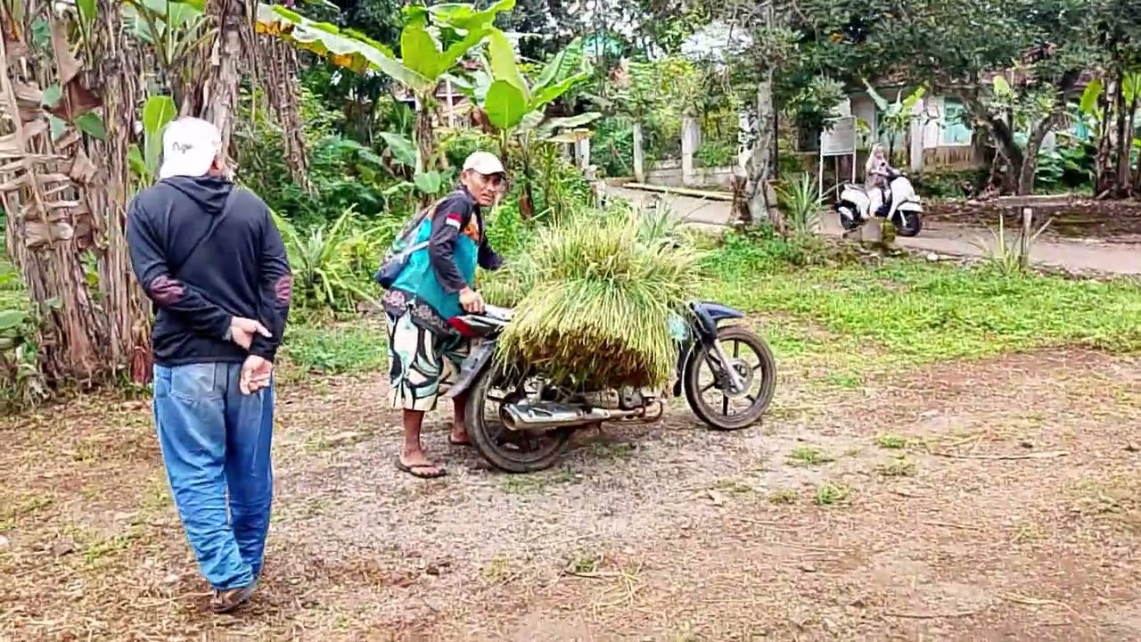 Kondisi Bendungan Jatigede di Pesisir Desa Karangpakuan