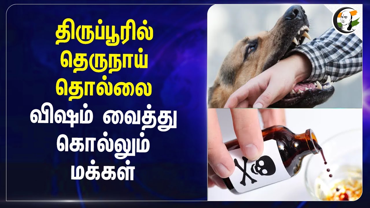 Tiruppur-ல் தெருநாய் தொல்லை.. Poison வைத்து கொல்லும் Public |  TN Police Investigation | TN Govt