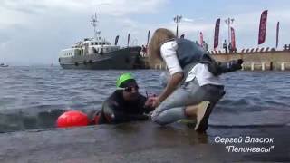 видео: Марафонский заплыв Амурский Залив 2016 во Владивостоке картинка: Марафонский заплыв Амурский Залив 2016 во Владивостоке
