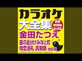 情無川 (オリジナル歌手:金田 たつえ)(カラオケ)