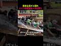 乗客全員ずぶ濡れドイツの過激なイカダ祭り