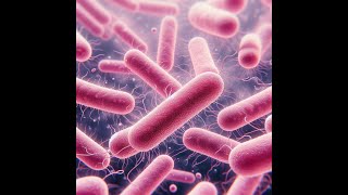 Cleaning, disinfection and the contamination control strategy.