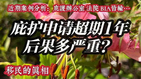 庇護投遞超期1年後移民局移民法院BIA皆輸的案例/巡迴法院可以裁決超期1年庇護資格問題嗎？巡迴法院期庇護工卡可更新嗎？ - 天天要聞