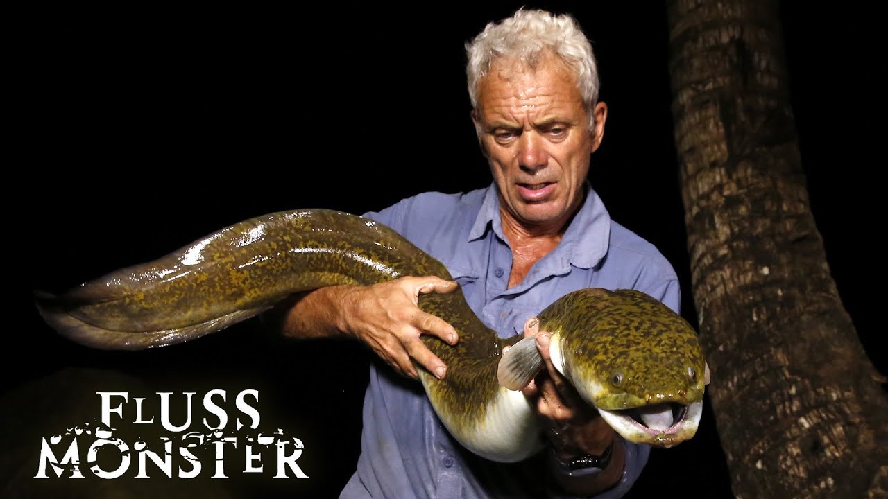 Die Killerfische des Südpazifik: Zwei U-Boot-Angreifer | S7 E05 | Fluss Monster