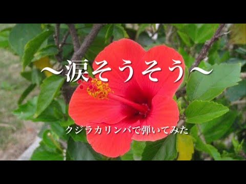 〜涙そうそう〜クジラカリンバで弾いてみた