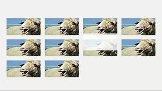 Image Gallery Hover Effect