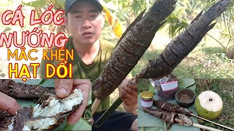 CÁ LÓC NƯỚNG MẮC KHÉN ,HẠT DỔI , HOA BAN FOOD