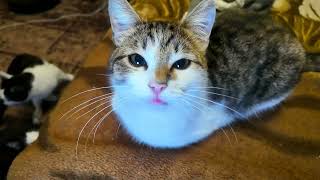 #Славянск. 2 апреля 2026г. Утро.