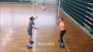 SOFT VOLLEY REC screenshot 4