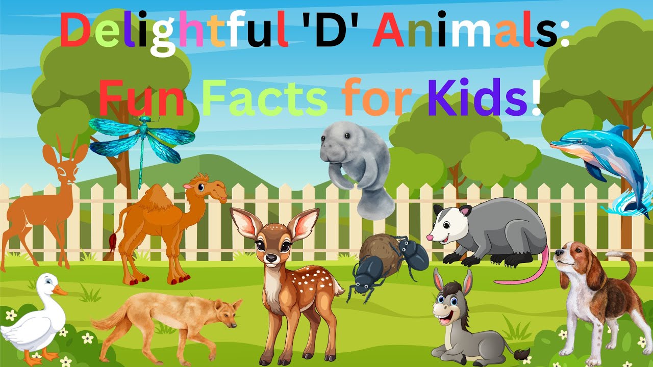 Delightful 'D' Animals Fun Facts for Kids, Animal Antics, #abcd # ...