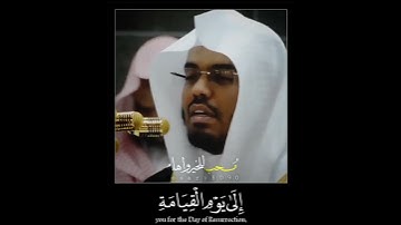 تلاوة عجيبه الشيخ د.ياسر الدوسري حفظه الله ورعاه 😴💓
