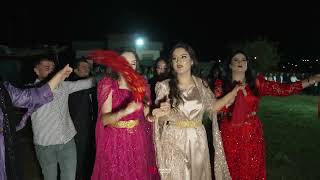 Naci GÜNEY ( Tayyan Aşireti ) Düğünü Part  2  - Hunermend Hısen SİLOPİ 2025