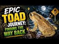 Epic Toad Journey: Finding the Way Back
