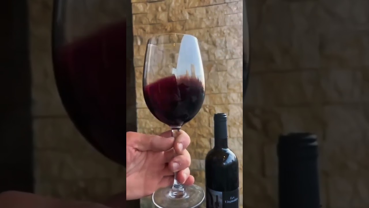 Les Vignobles, the wine that you shouldn’t miss 🍷 