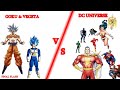 Goku And Vegeta Vs Dc Universe | How Many Characters They Can Beat In Dc |Explained In Hindi|