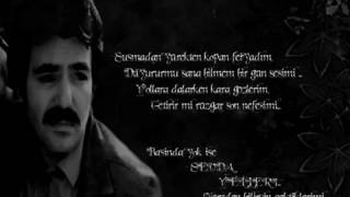 Ferdi Tayfun Sevda Yelleri