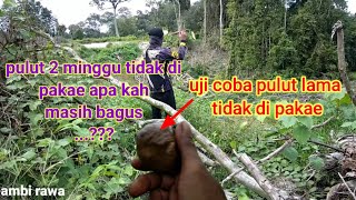 pikat burung //sambil Cesting screenshot 5