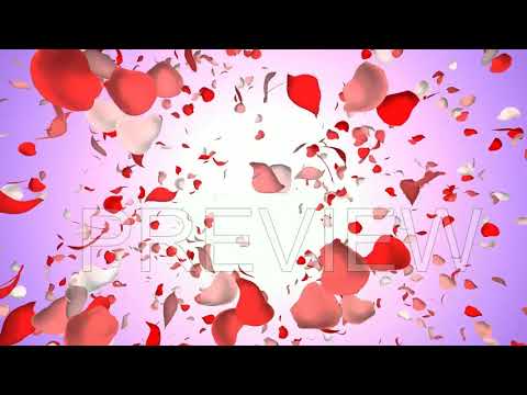 3D Falling rose petals transition 2 (4)